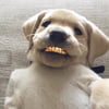 NineGag profile picture for @jake