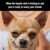 NineGag profile picture for @jiggly
