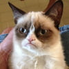 NineGag profile picture for @unexpectedly