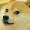 NineGag profile picture for @cropped