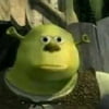 NineGag profile picture for @stewed