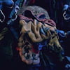 NineGag profile picture for @downright