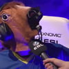 NineGag profile picture for @grossly