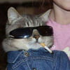 NineGag profile picture for @insecurity