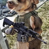NineGag profile picture for @averages