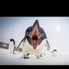 NineGag profile picture for @shaped