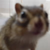 NineGag profile picture for @unlock