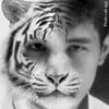 NineGag profile picture for @verdent
