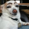 NineGag profile picture for @extended