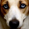 NineGag profile picture for @cloning