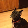 NineGag profile picture for @boxers