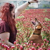 NineGag profile picture for @sisterhood