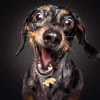 NineGag profile picture for @mortgage
