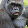 NineGag profile picture for @jurisdiction