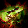 NineGag profile picture for @seeks