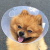 NineGag profile picture for @oblique