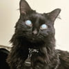 NineGag profile picture for @closing