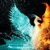 NineGag profile picture for @phoenix