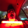NineGag profile picture for @phyllis