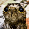 NineGag profile picture for @private