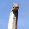 NineGag profile picture for @humbly