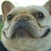 NineGag profile picture for @swirly