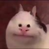 NineGag profile picture for @symbolic