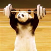 NineGag profile picture for @diagnosis