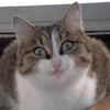 NineGag profile picture for @fantasies