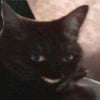 NineGag profile picture for @apologetic