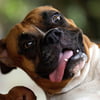 NineGag profile picture for @dullness